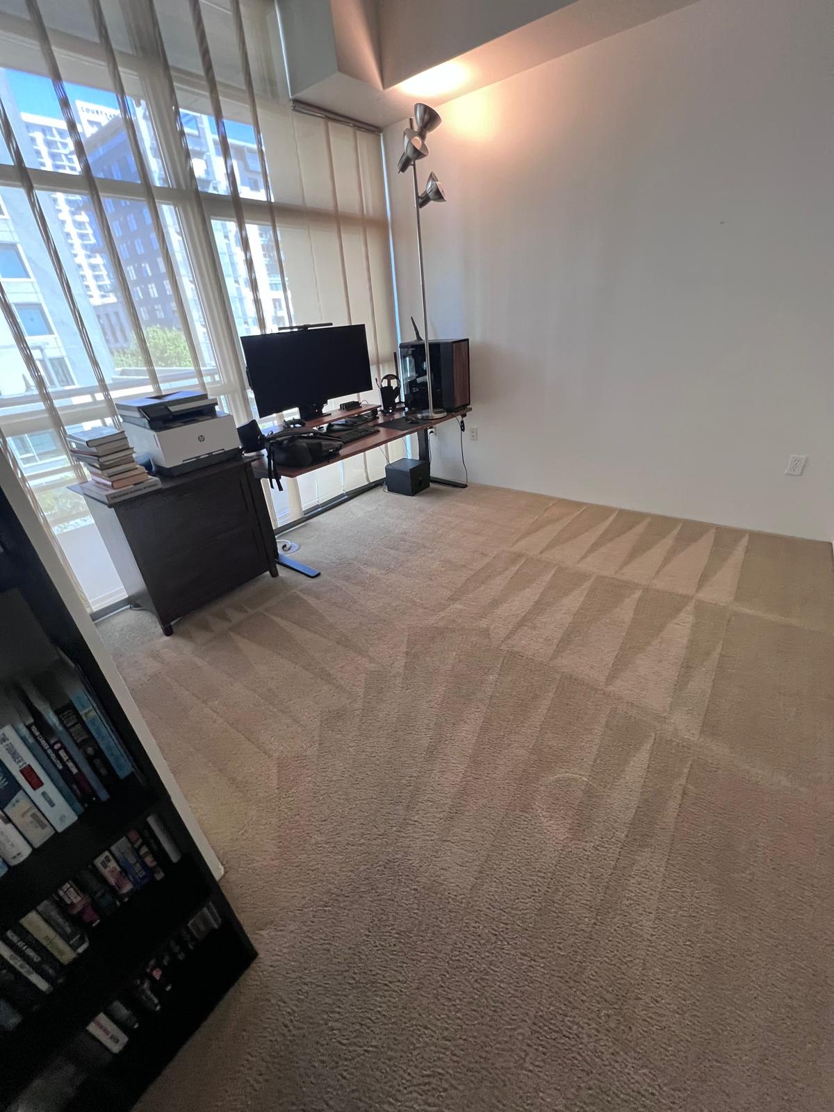 Freshly groomed carpet lines result 3