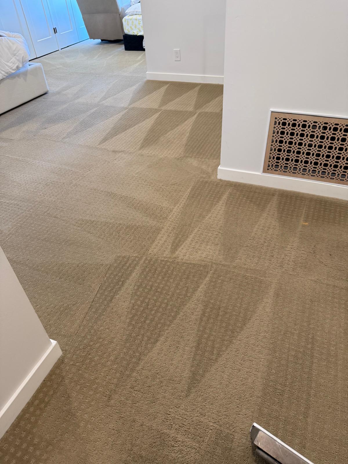 Freshly groomed carpet lines result 1
