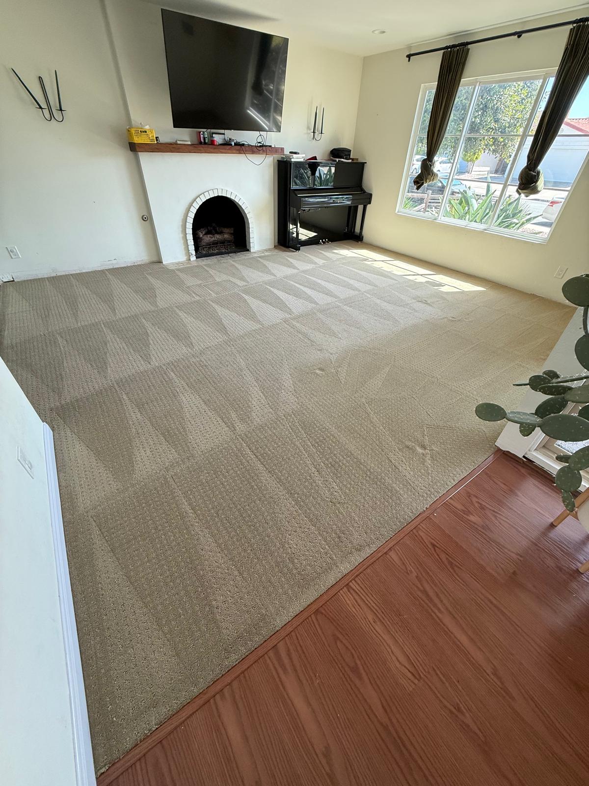 Freshly groomed carpet lines result 2