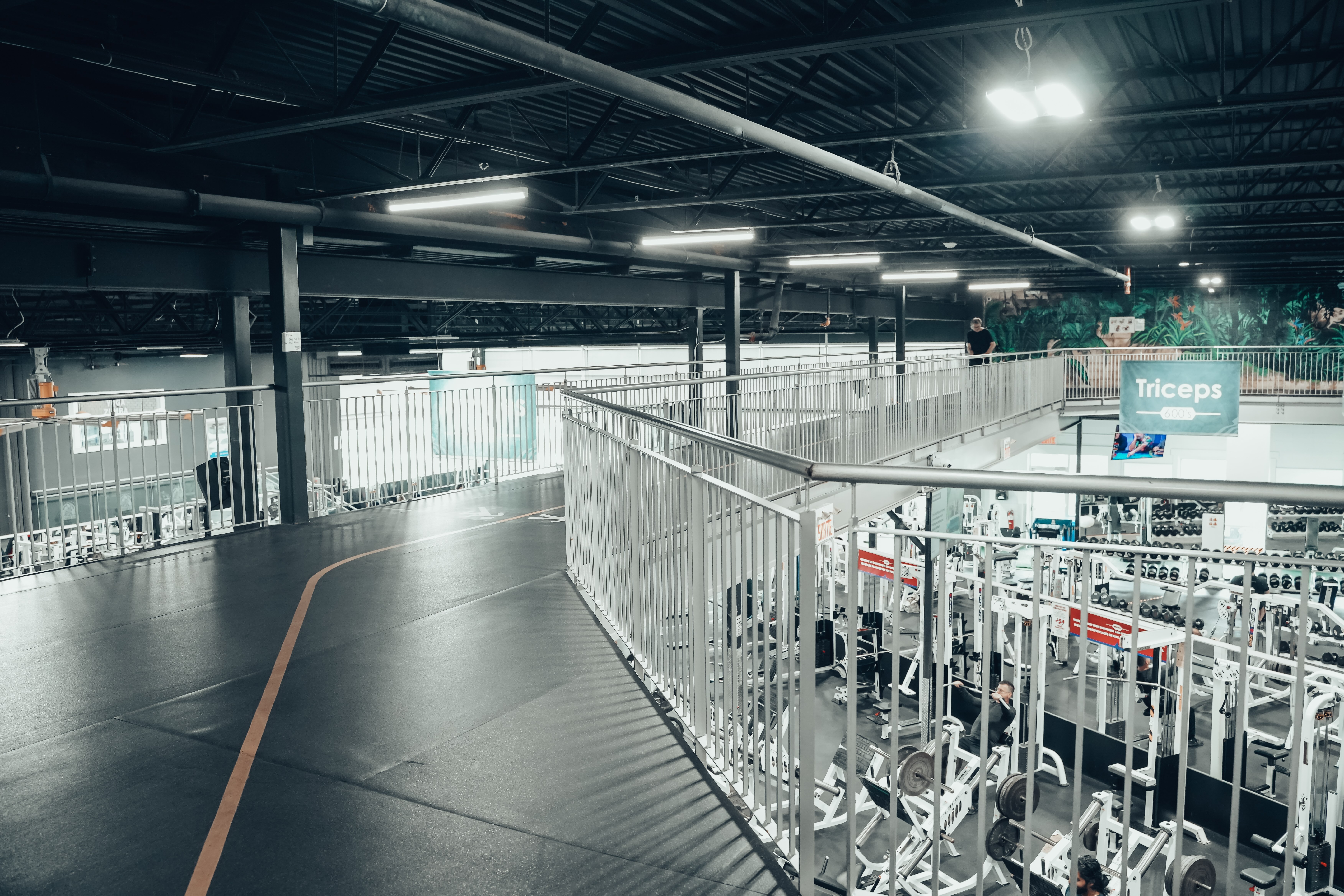 Monster Gym 2