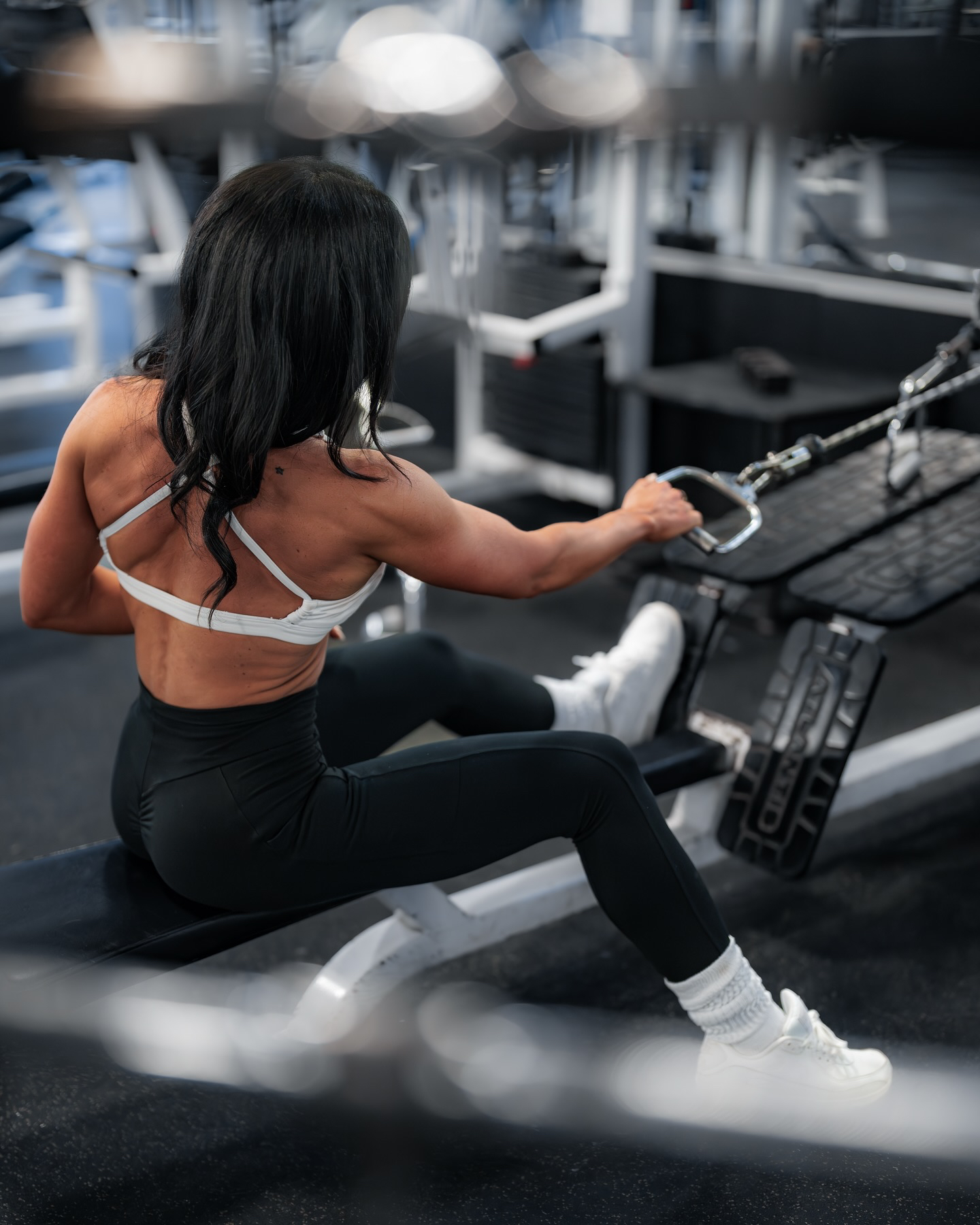 Monster Gym — Vue d'ensemble
