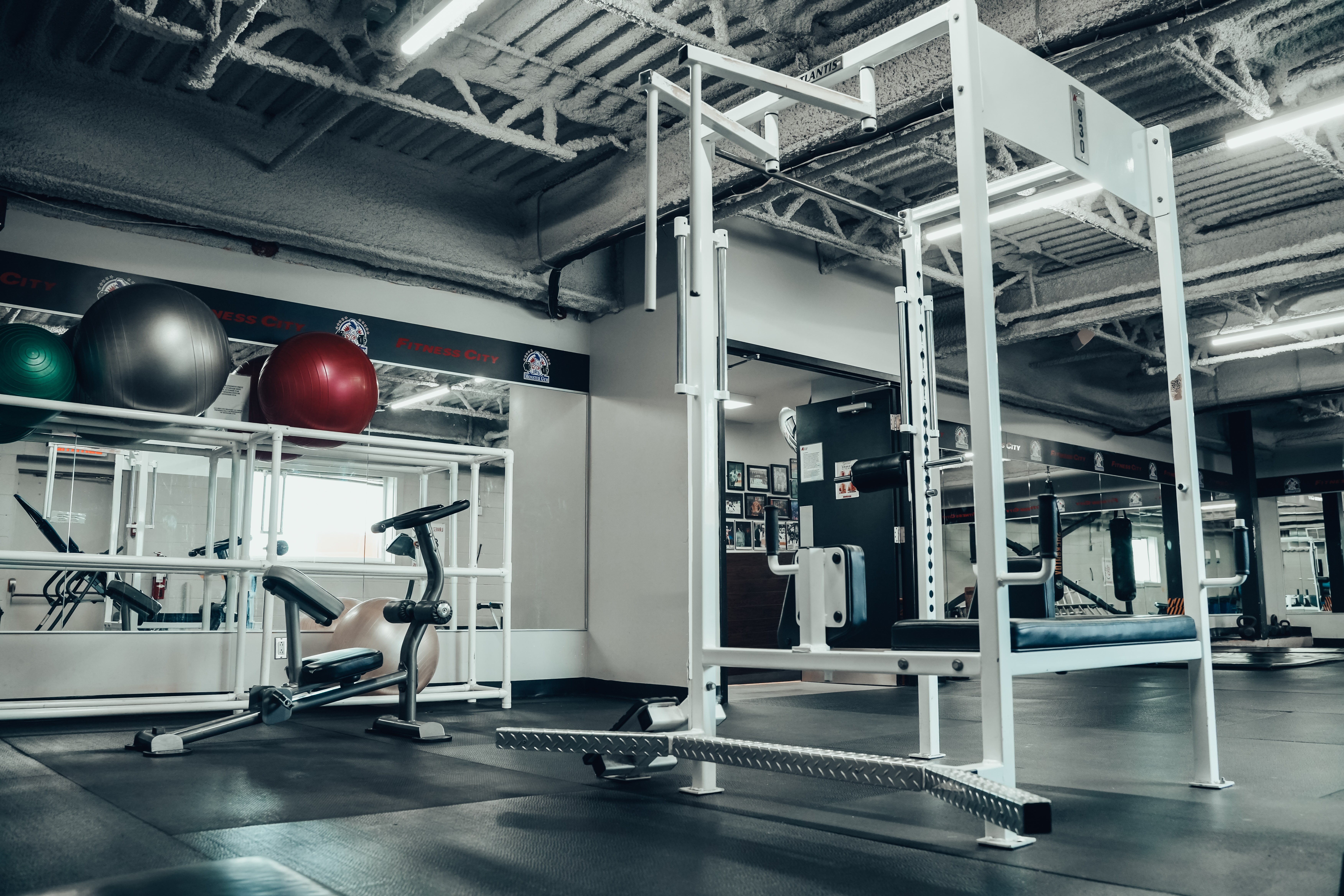 Monster Gym 1