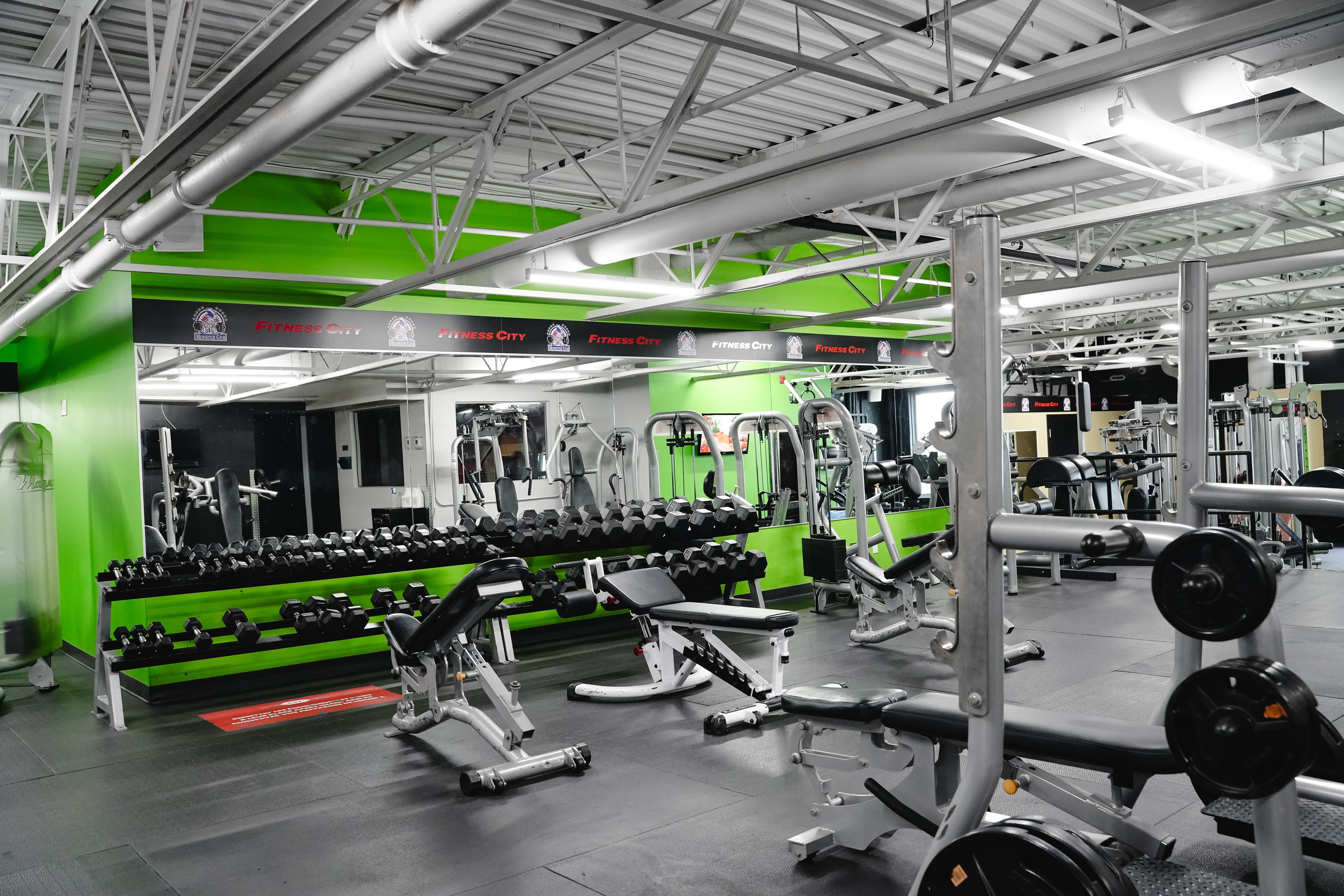 Monster Gym 4