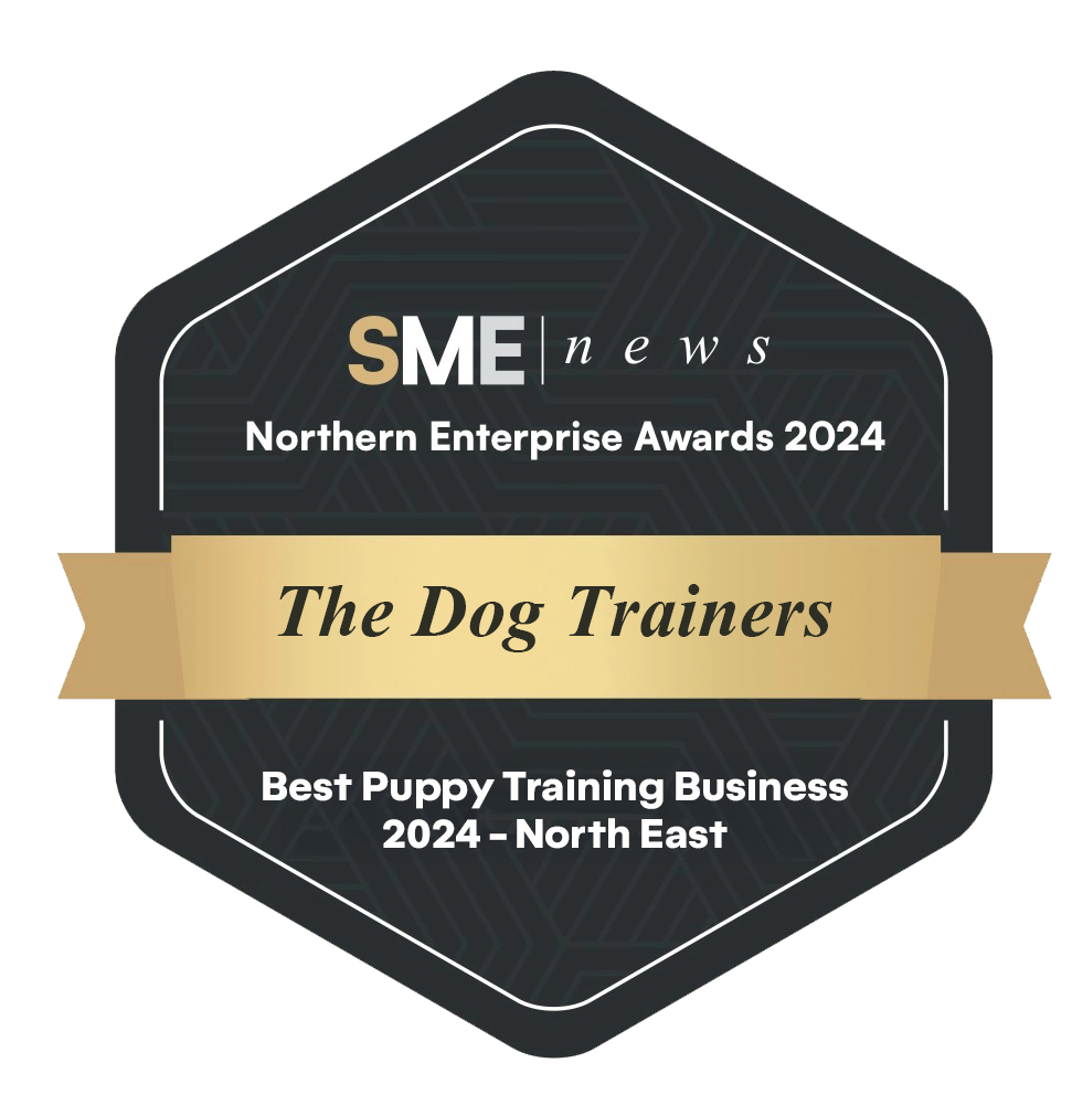 Northern Enterprise Award