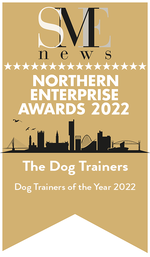 SME News Northern Enterprise Awards 2022