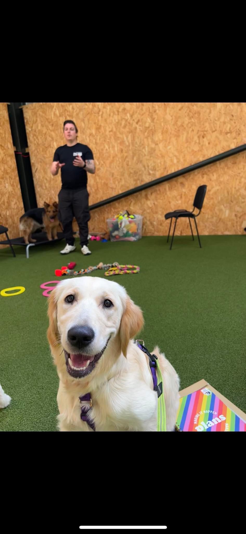 Puppy and Adolescent Training Classes