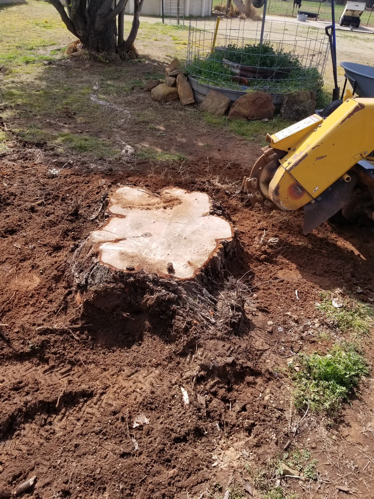 Stump Grinding