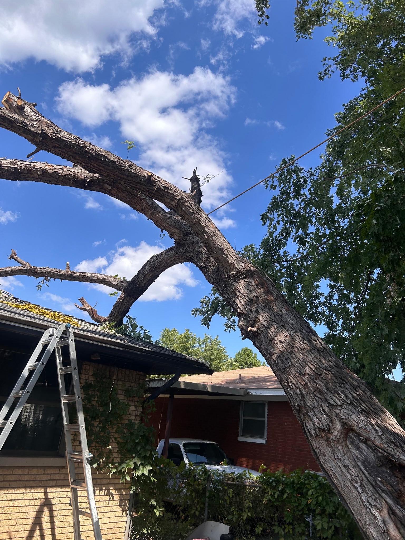 Emergency Storm Damage Cleanup