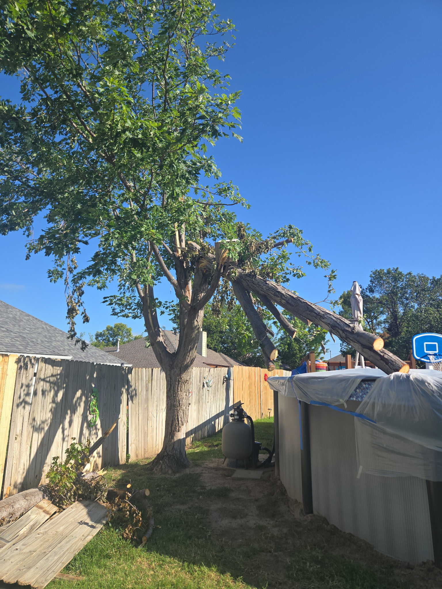 Emergency Tree Removal