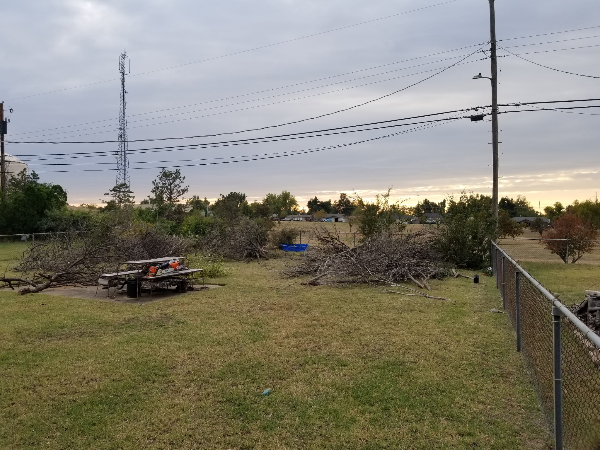 Tree Pruning