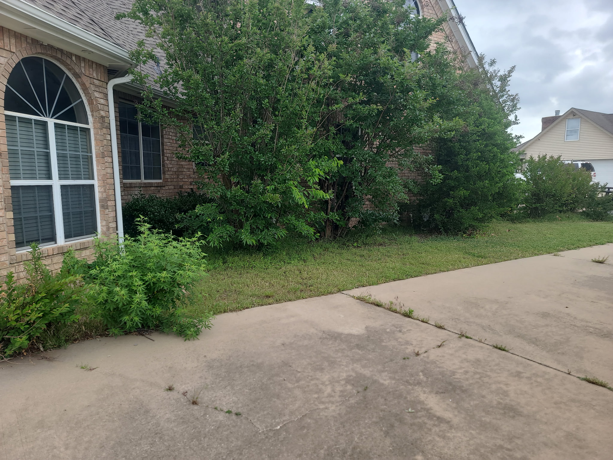 Property Cleanup