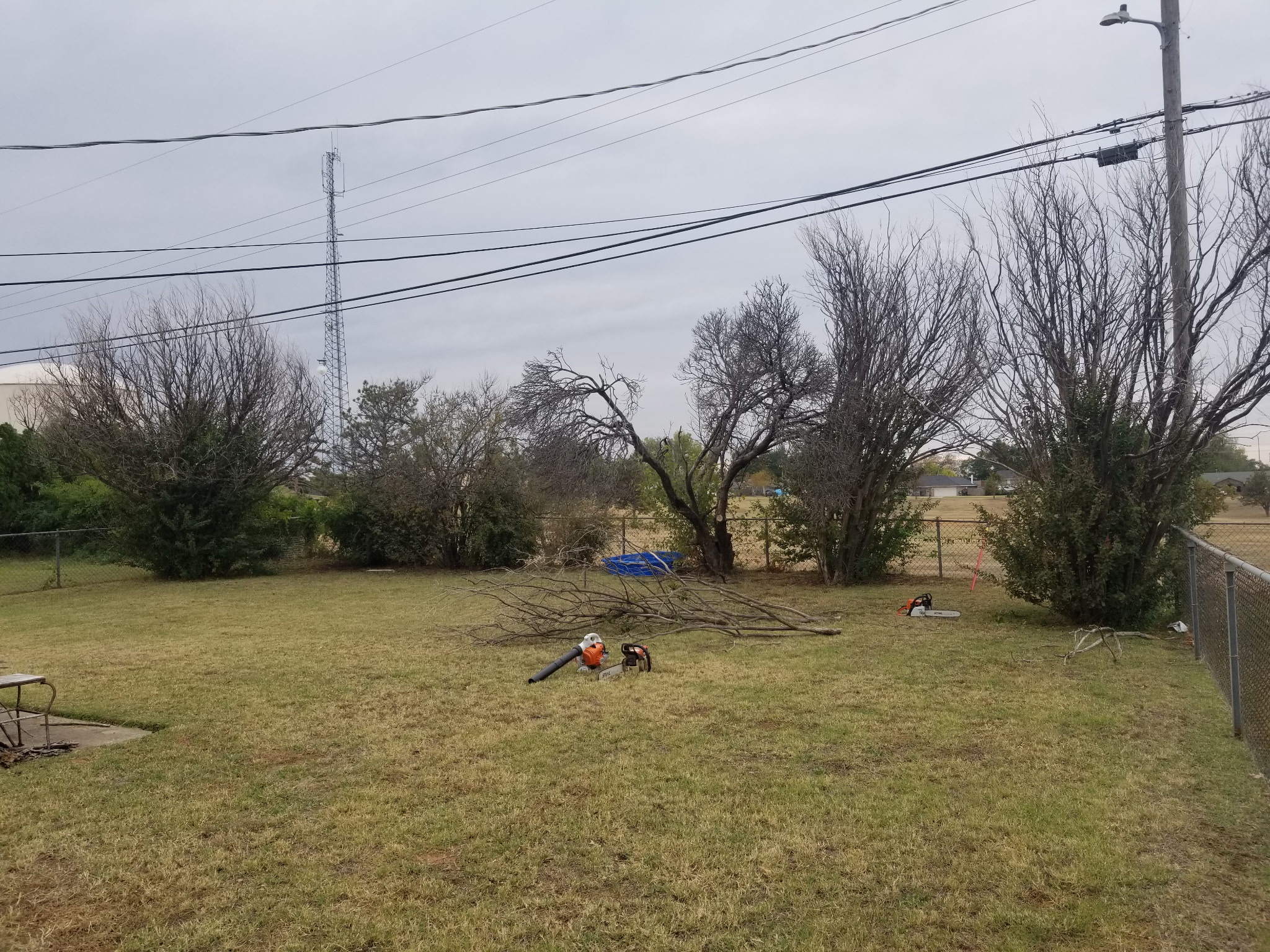 Tree Pruning