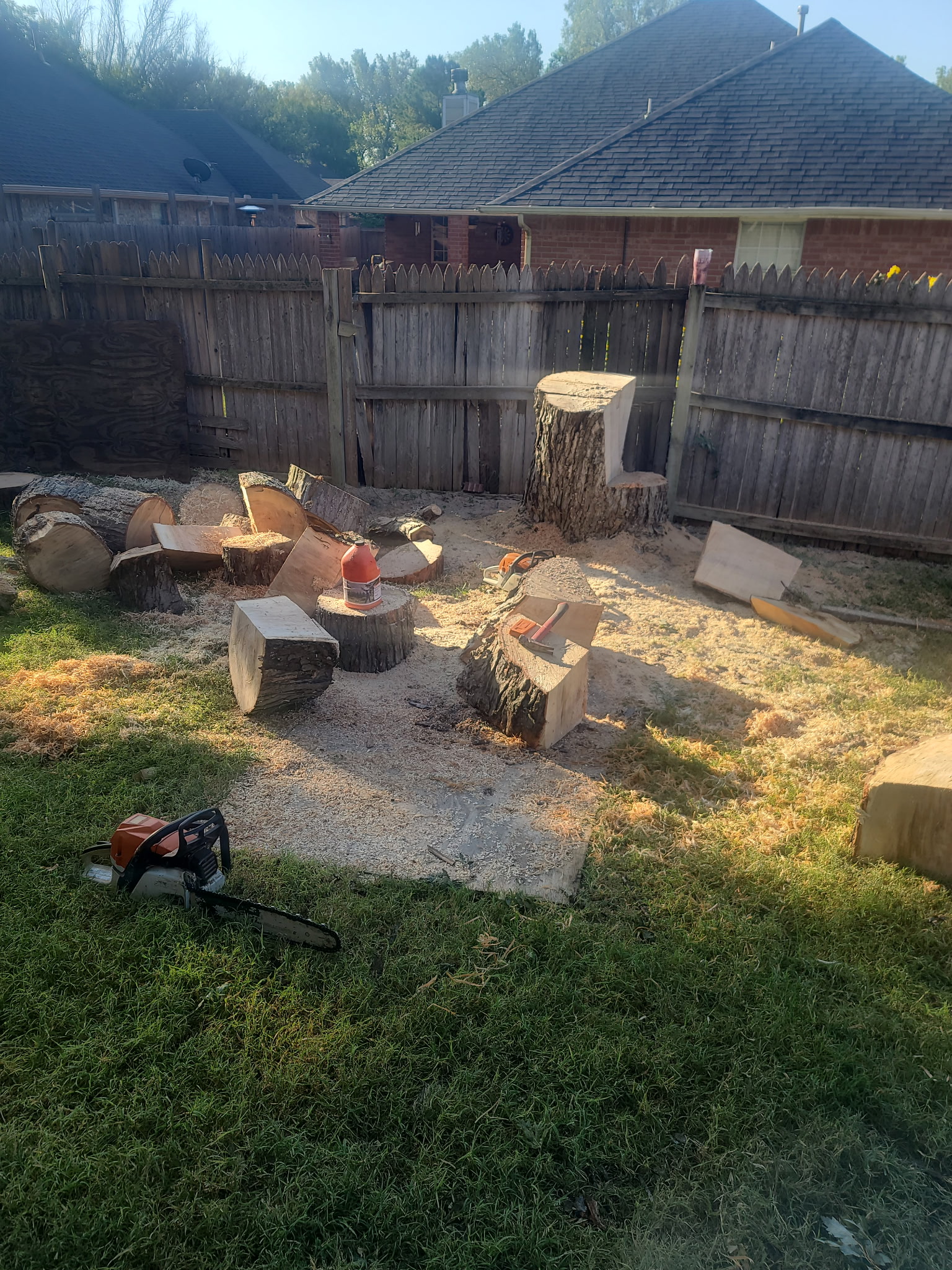 Tree service work 3