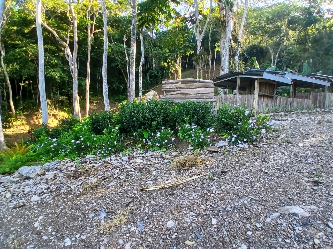 Location & Landscape 1