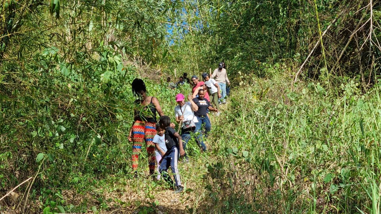 Hiking & Nature Walks