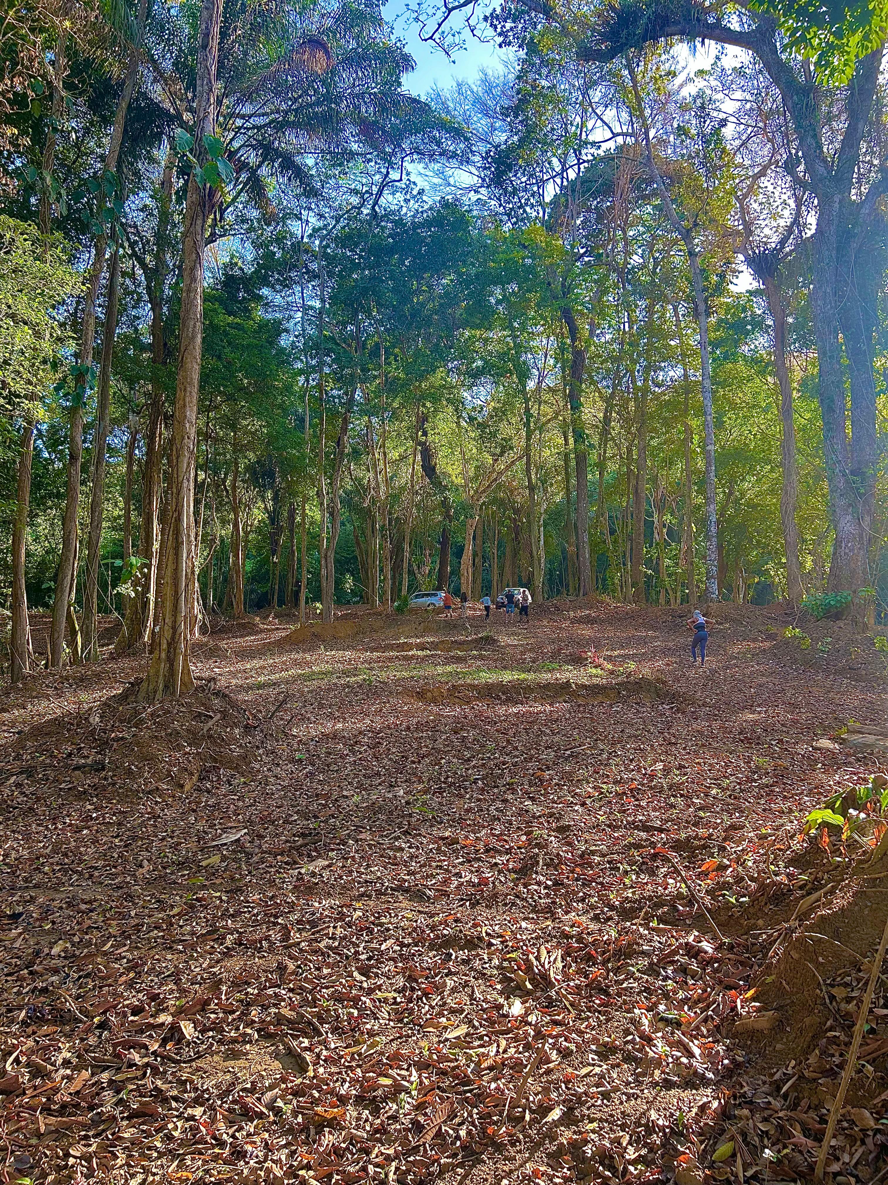 Location & Landscape 2