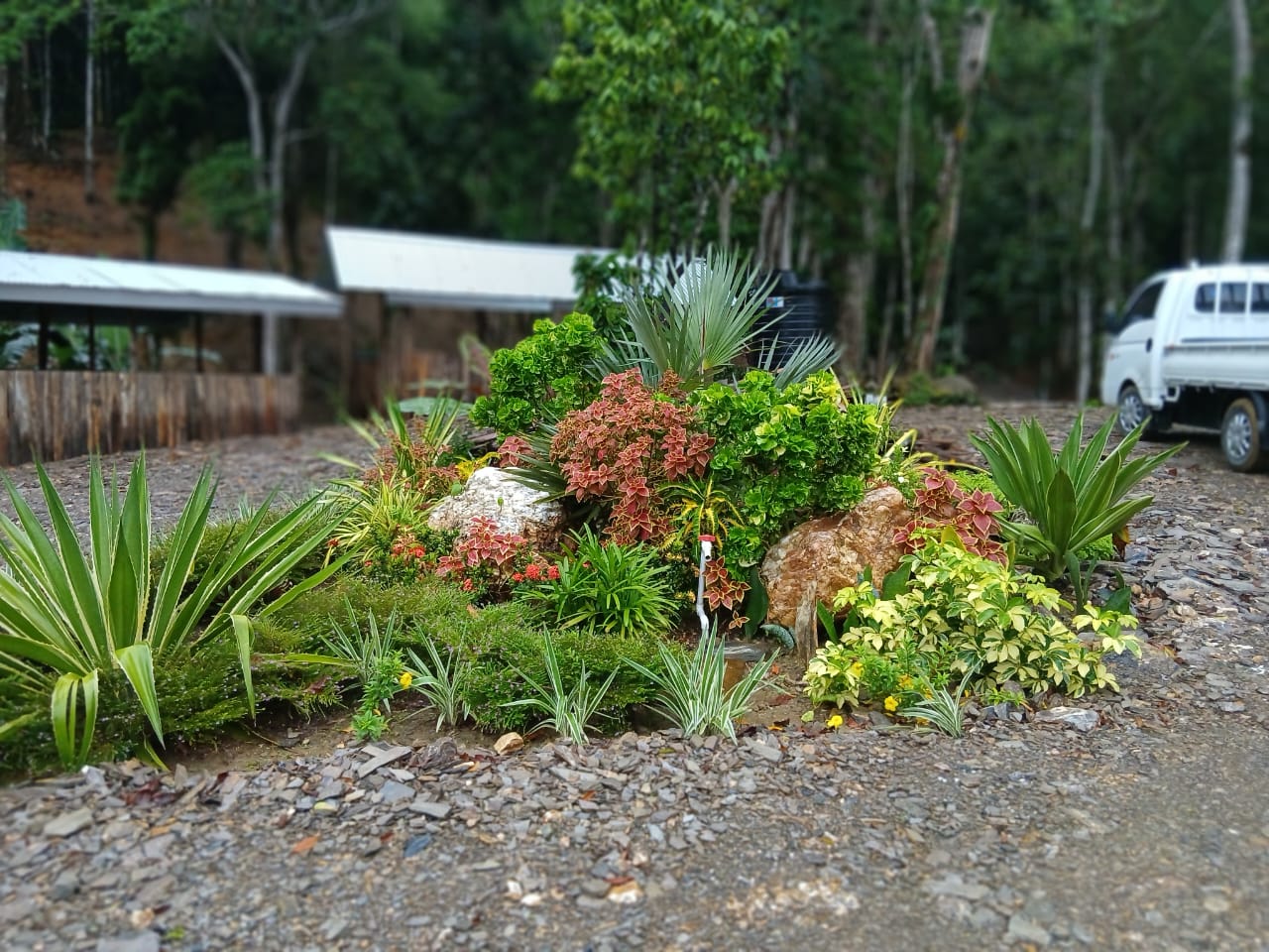 Location & Landscape 5