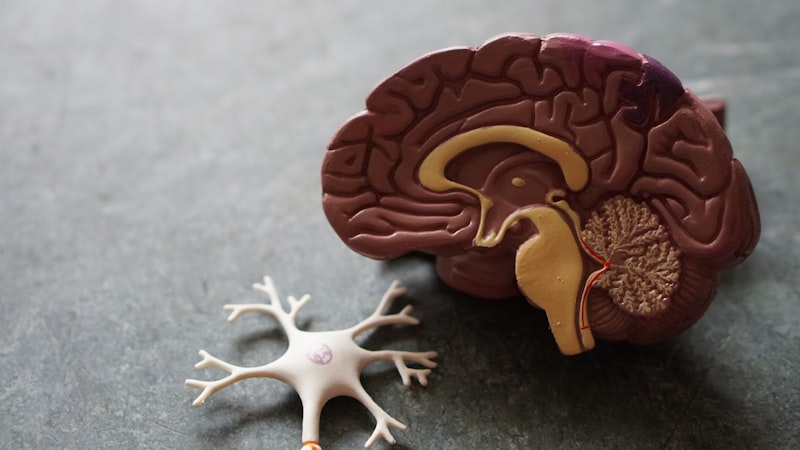How Hearing Loss Affects Cognitive Health