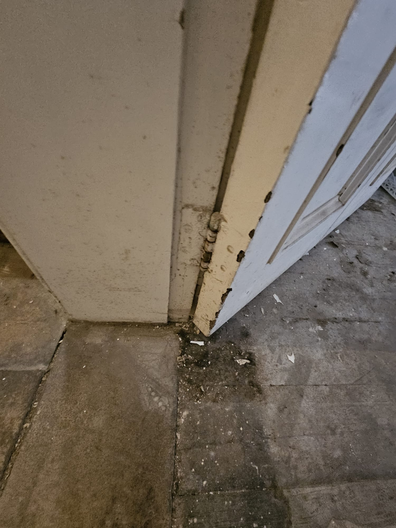 Bottom threshold area showing lower hinge condition, floor-to-door gap and base of architrave requiring gap correction and seal installation