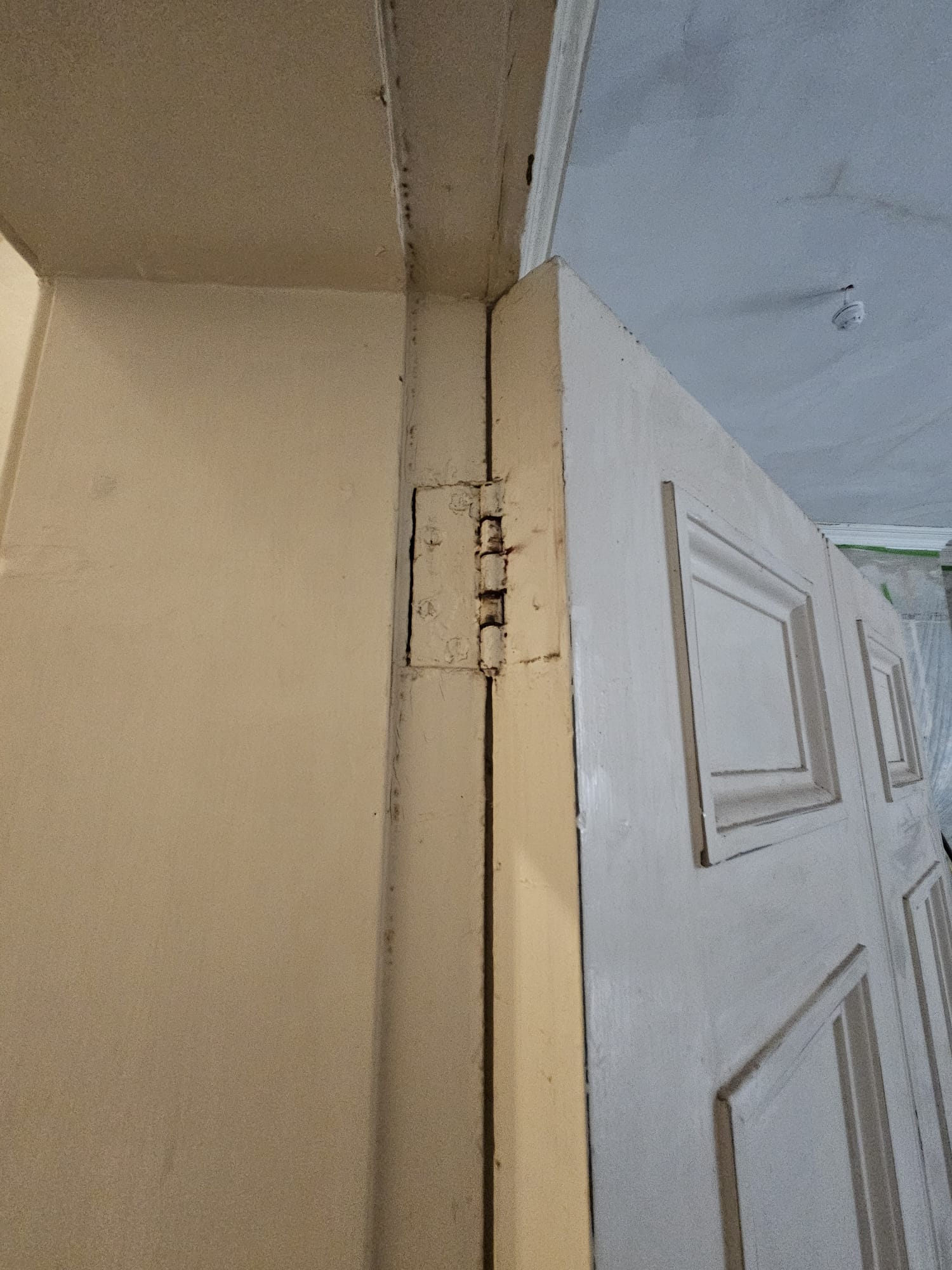 Upper corner of door showing top hinge fitting, frame rebate and surrounding wall condition before fire-rated hinge replacement