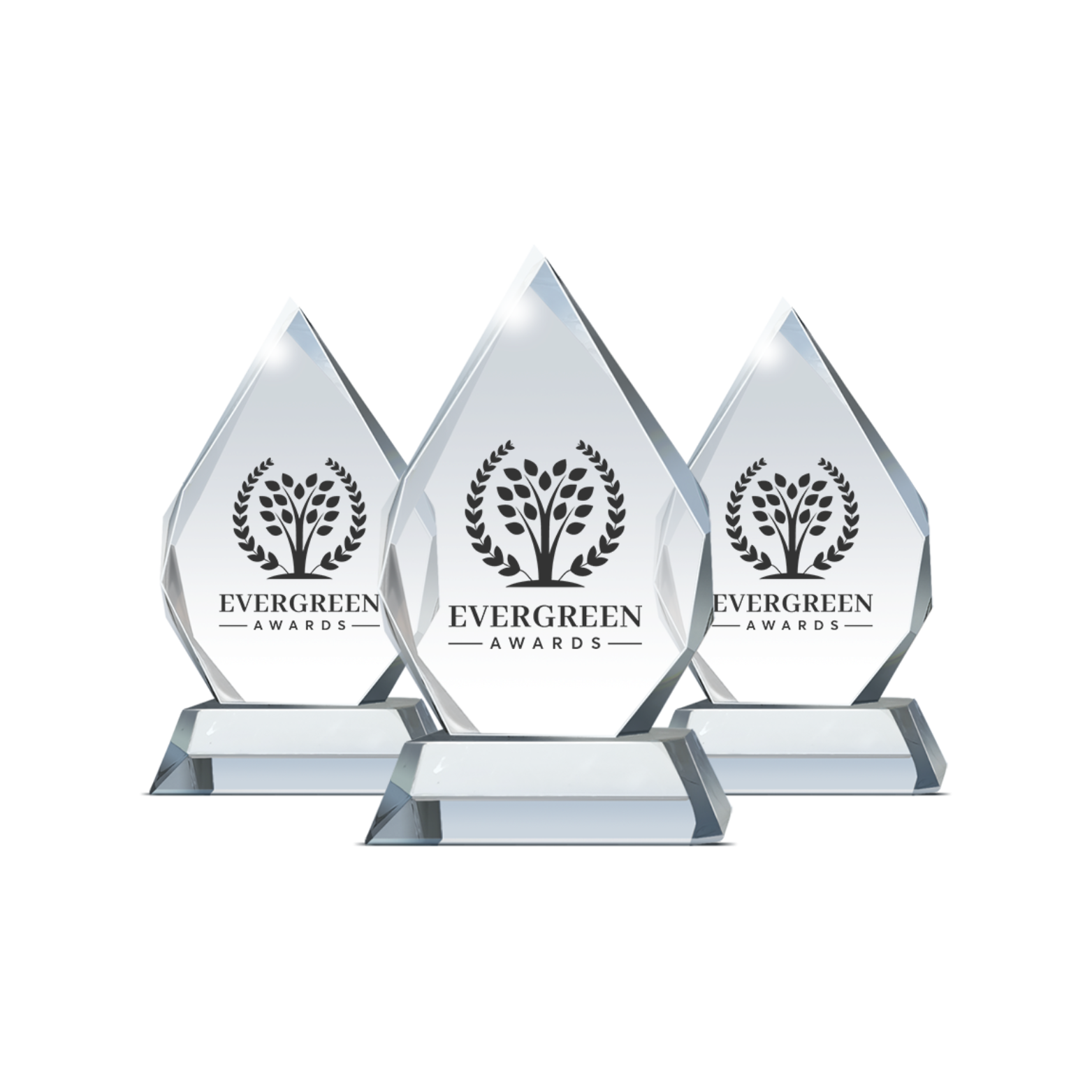 Evergreen Awards Trophy - Best Women's Leadership & Energy Strategist in Europe