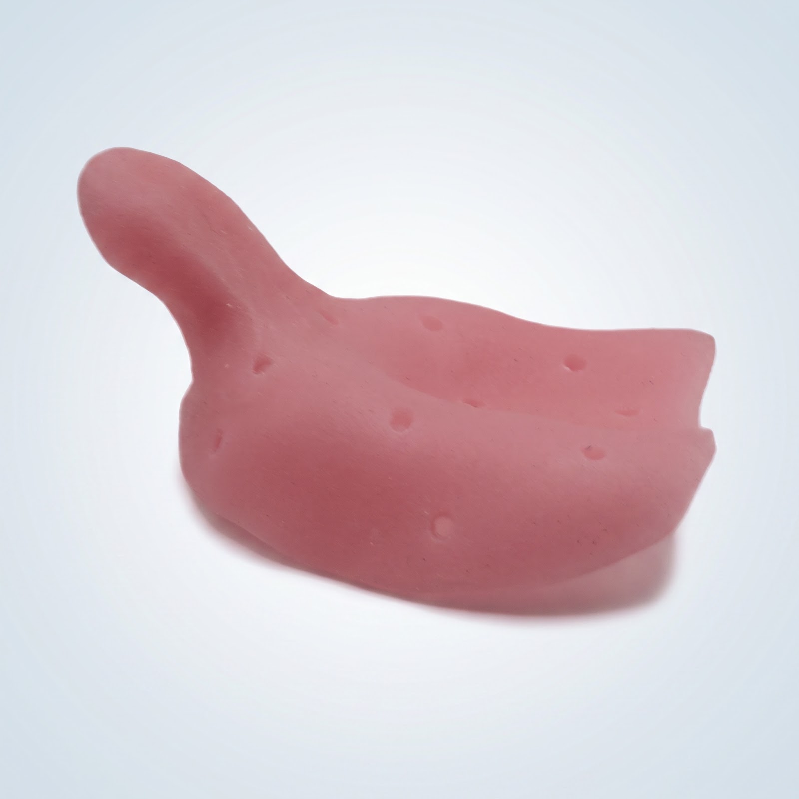 Custom Tray - View 2 | YGL Dental Lab Miami FL