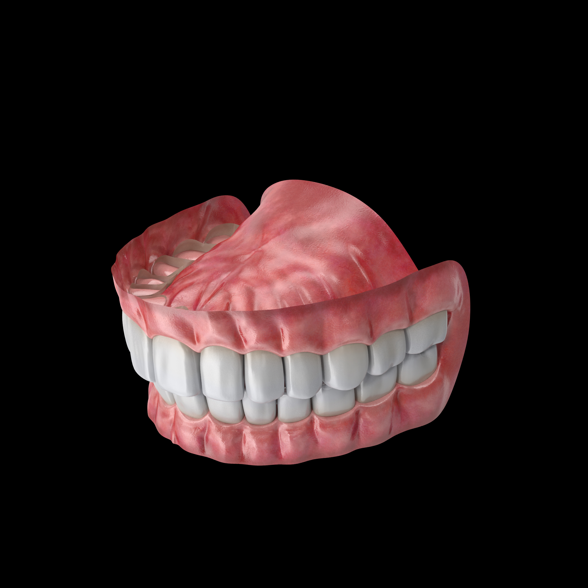 Denture Model