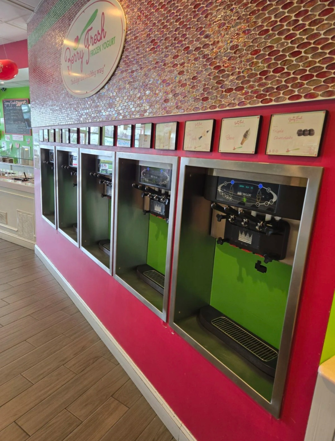 Berry Fresh Frozen Yogurt Shop Interior
