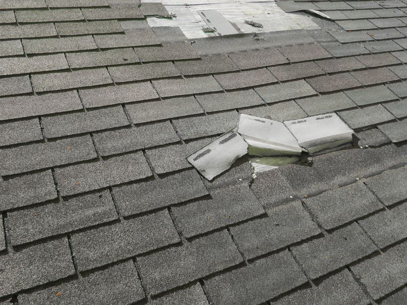 Roof shingle hail damage showing lifted and broken asphalt shingles exposing the underlayment after a storm