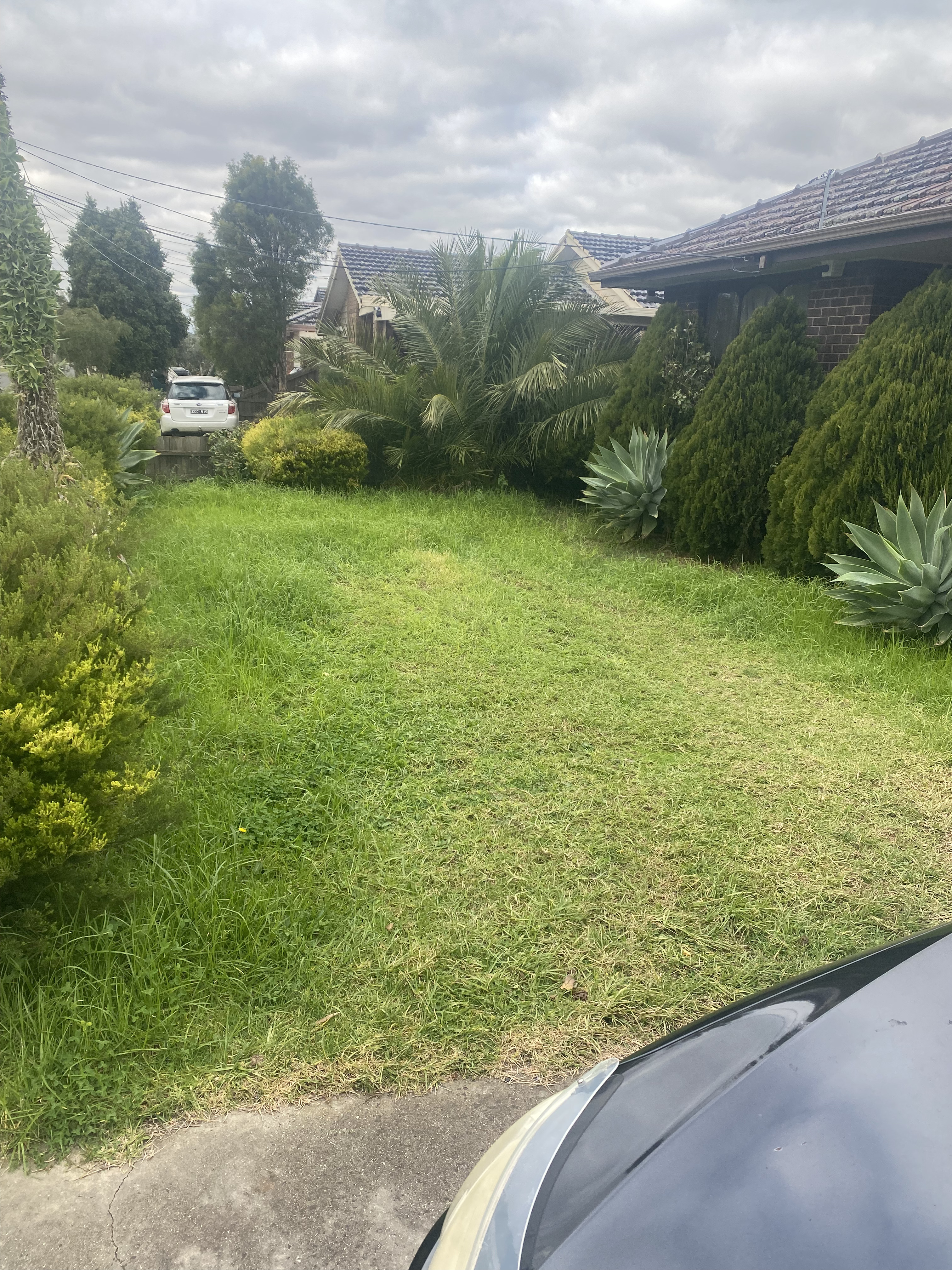 Caroline Springs garden tidy before lawn and garden service in Melbourne's west