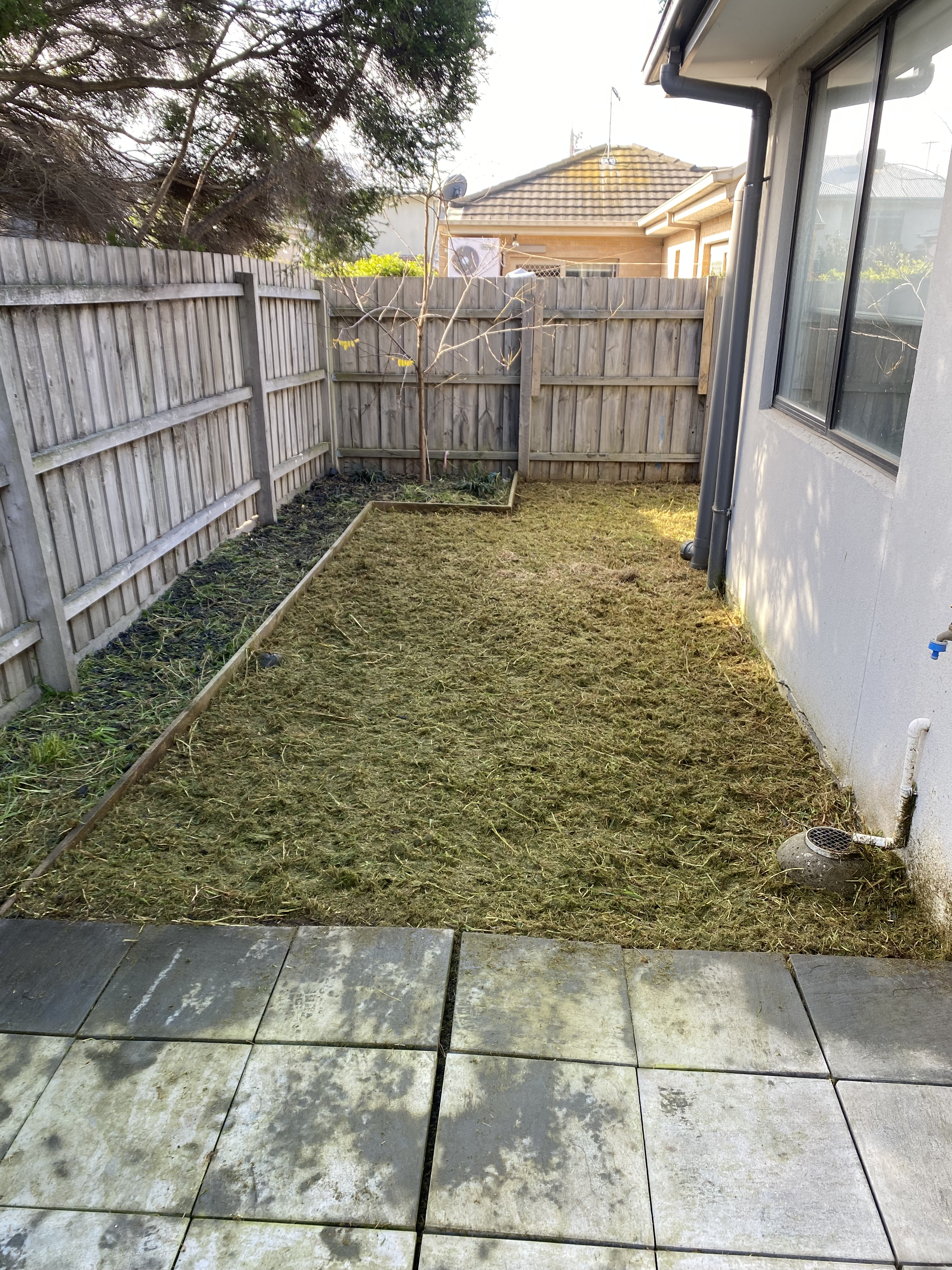 Ardeer full yard clean-up after lawn and garden service in Melbourne's west