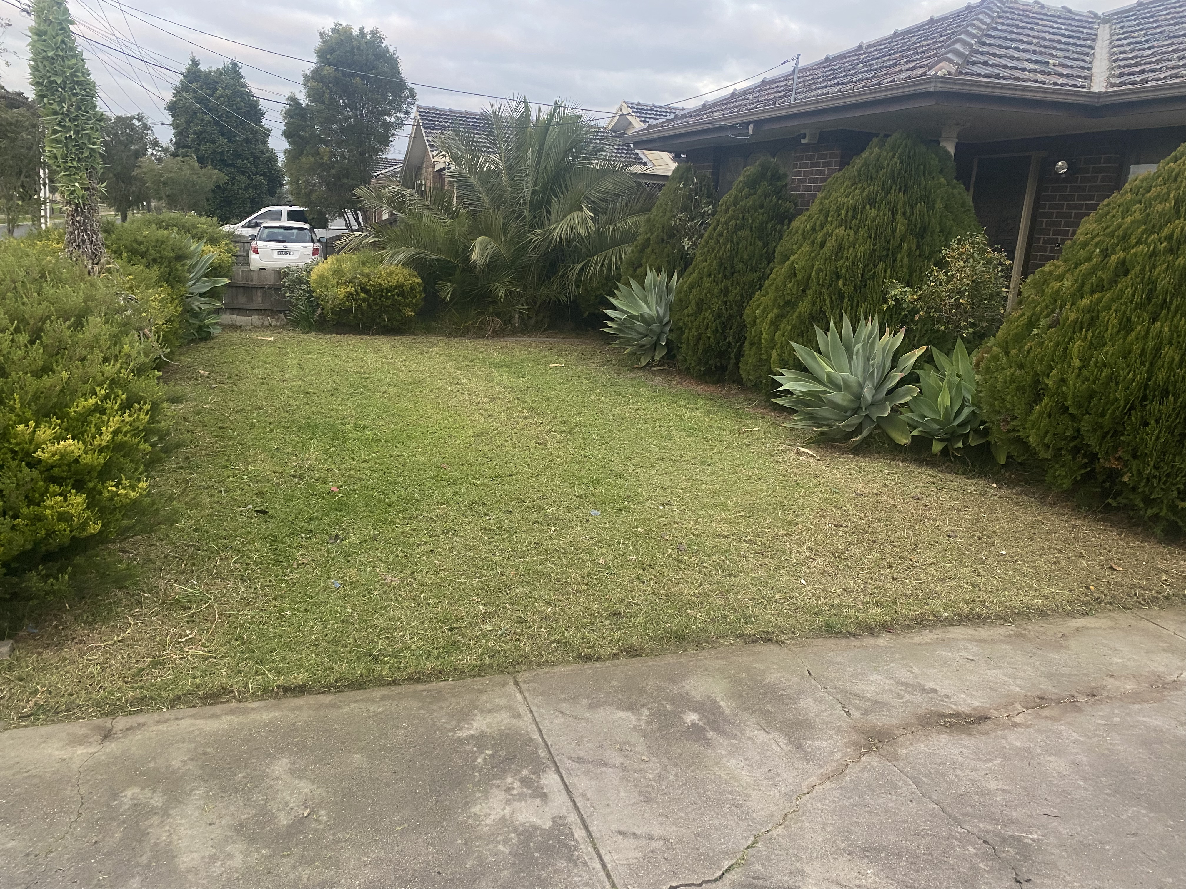 Caroline Springs garden tidy after lawn and garden service in Melbourne's west