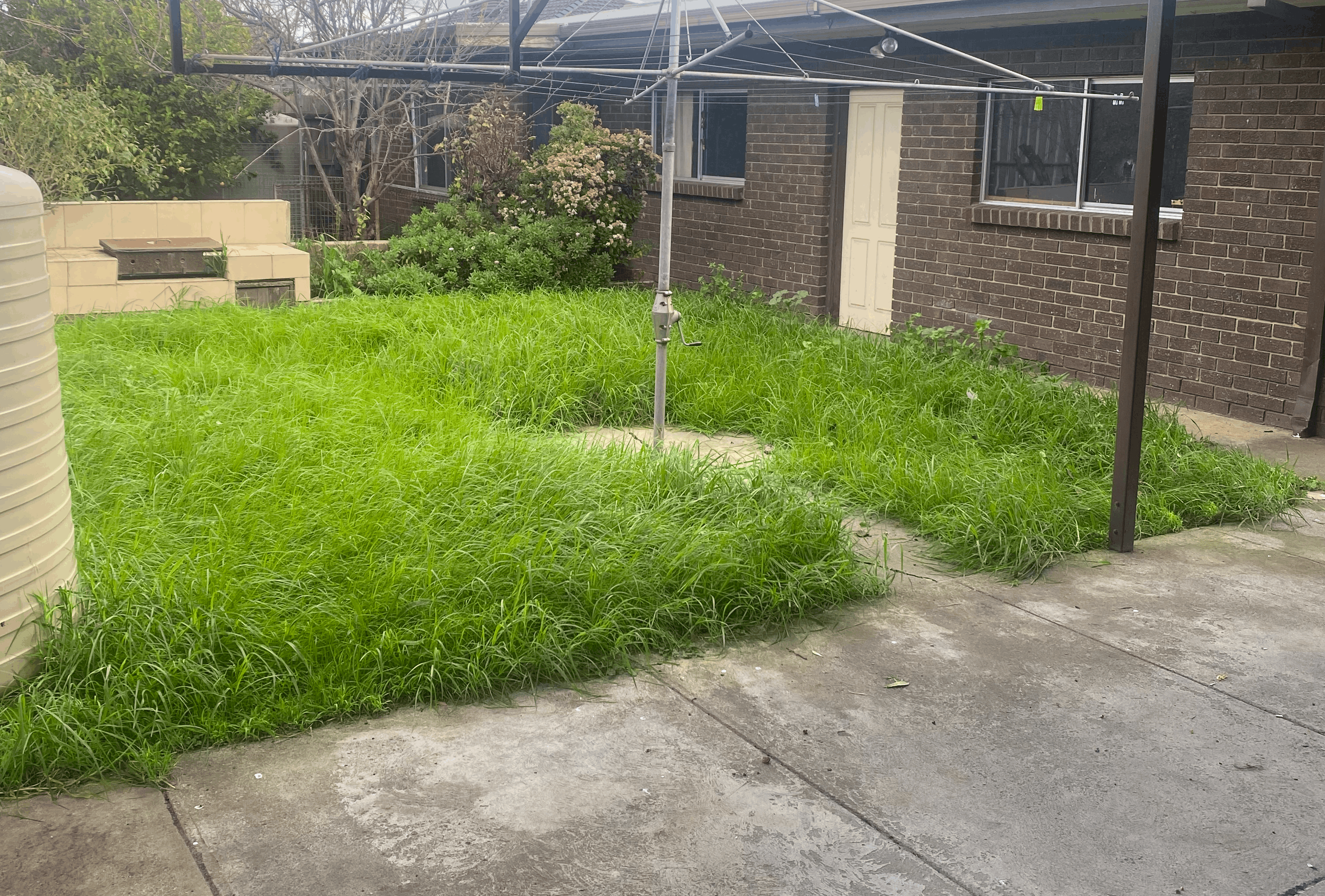 Overgrown yard before mowing service in Ardeer Melbourne's west