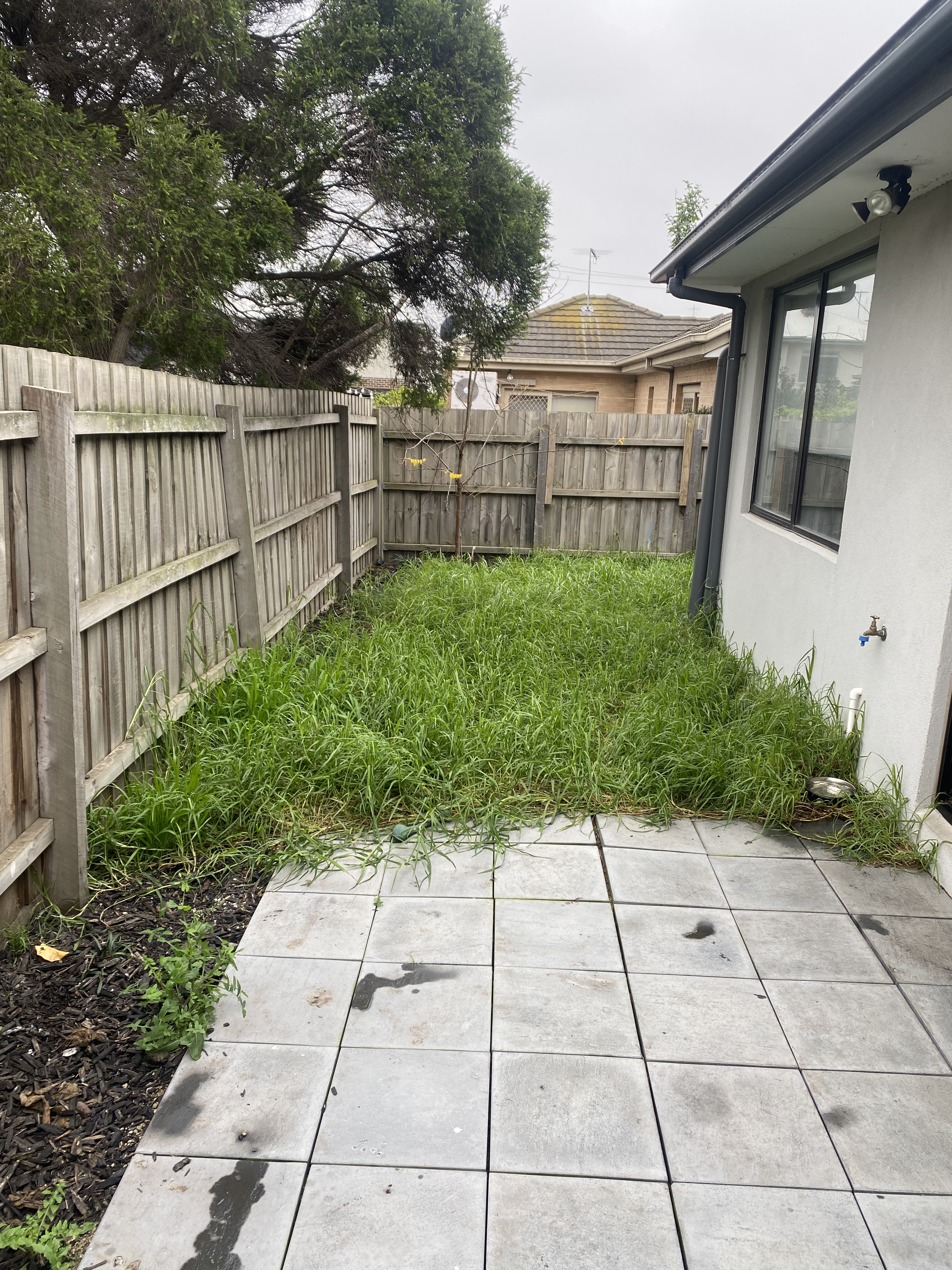 Ardeer full yard clean-up before lawn and garden service in Melbourne's west