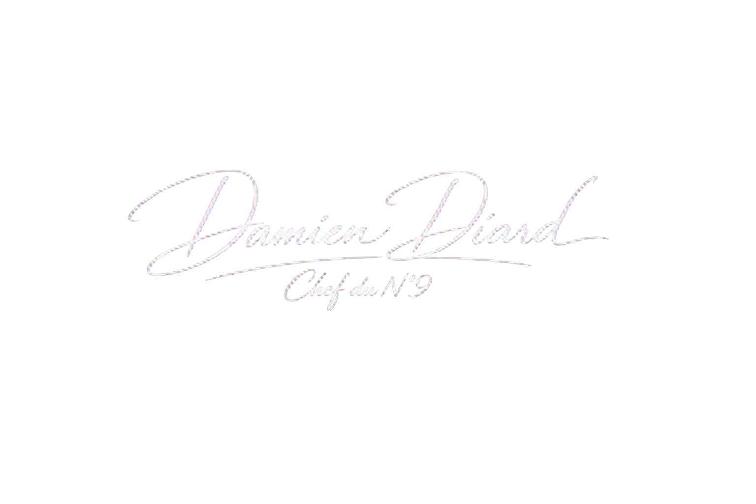 Signature de Damien Diard