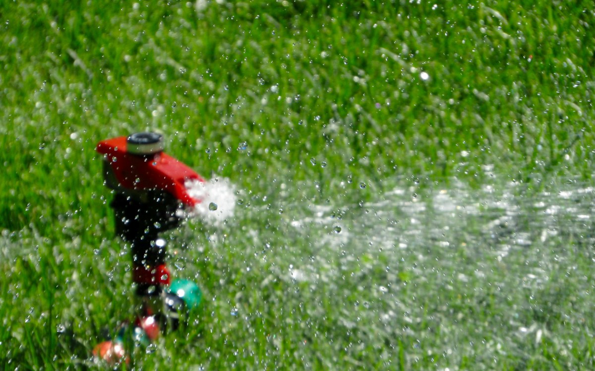 Garden sprinkler head watering a lawn at a home in Arlington TX