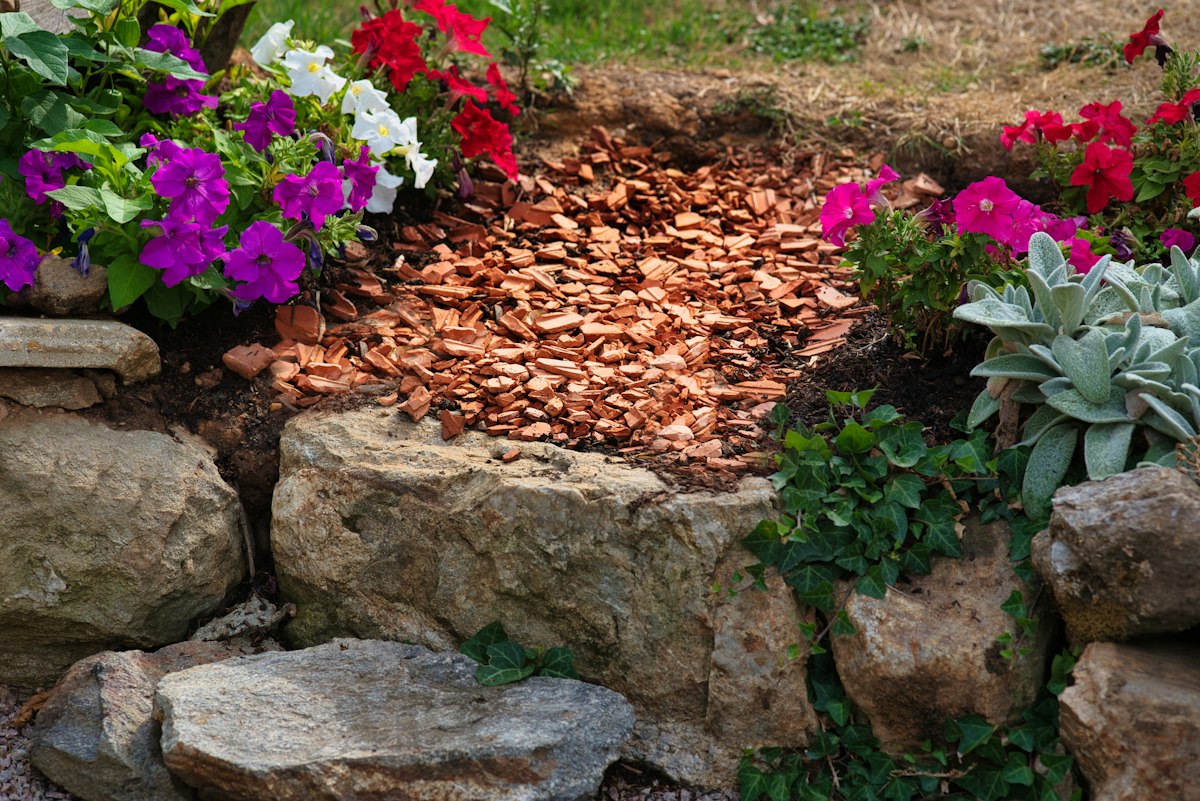 Landscaped flower bed with petunias and mulch between stones in an Arlington TX yard