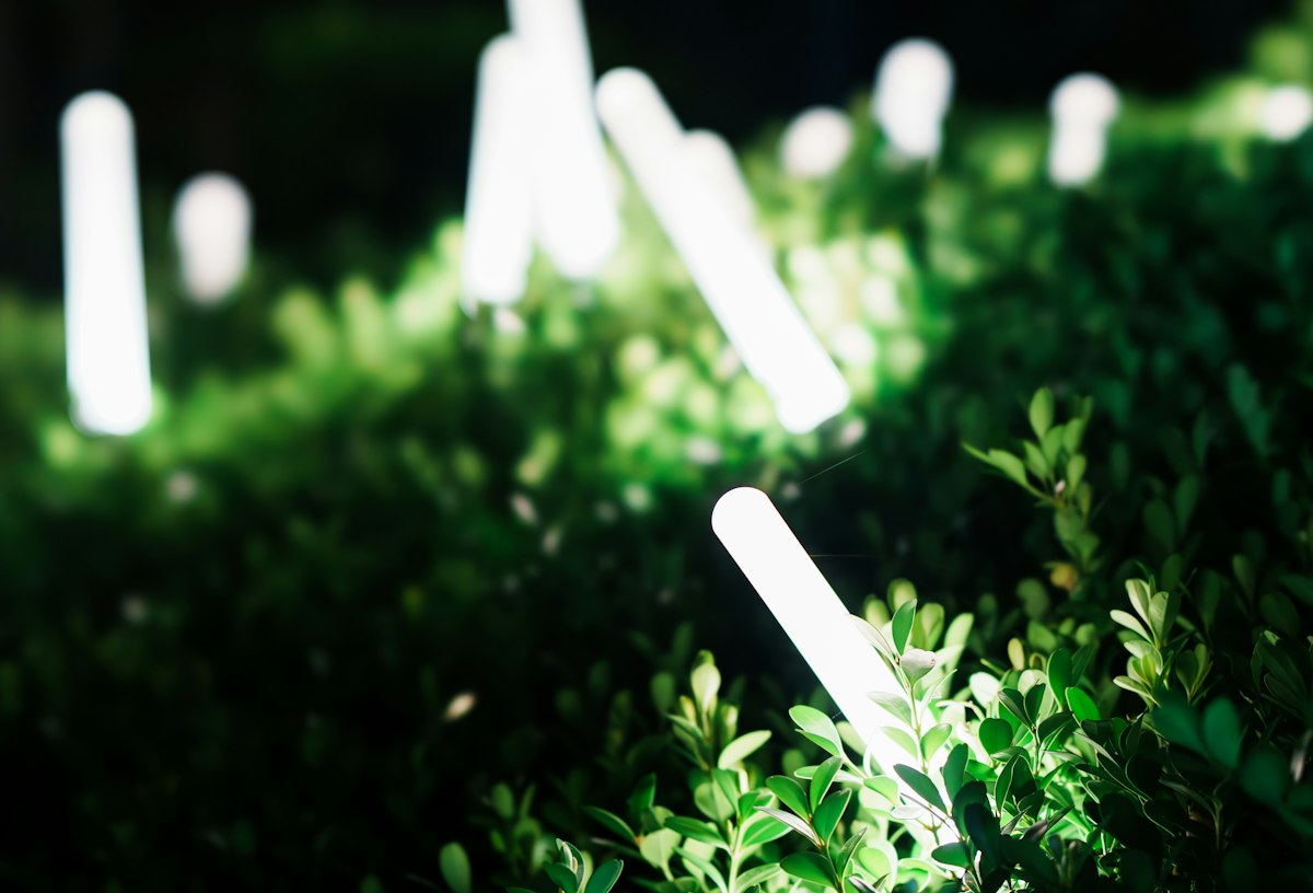 Landscape uplighting on shrubs and bushes at night at a home in Arlington TX