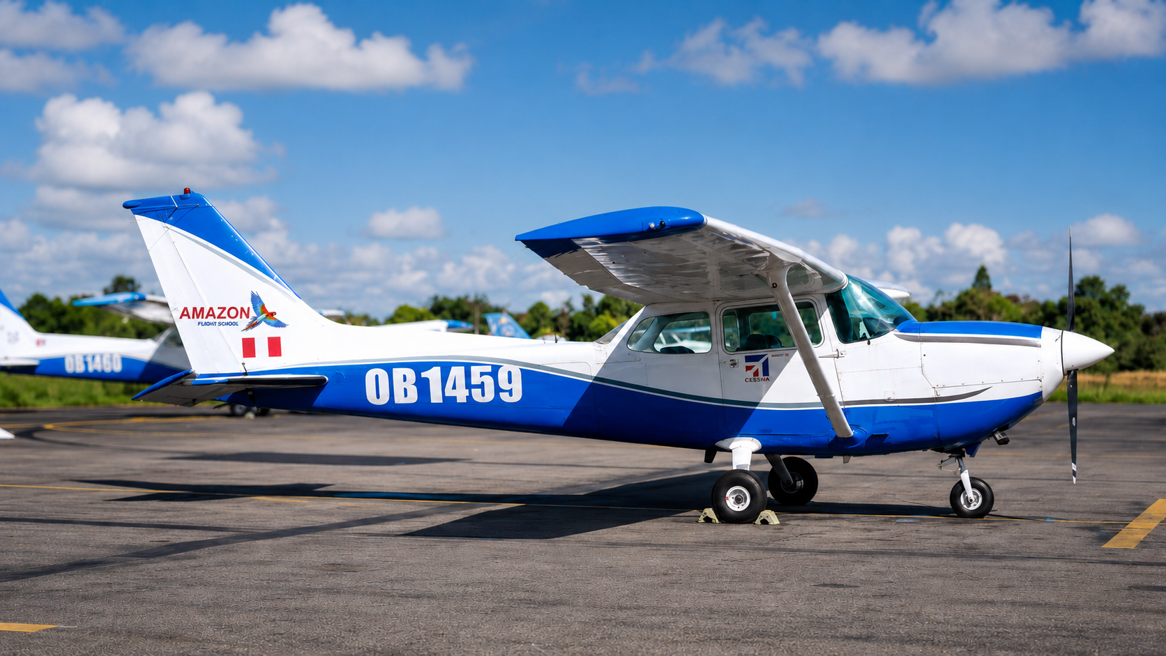 Flota de aeronaves