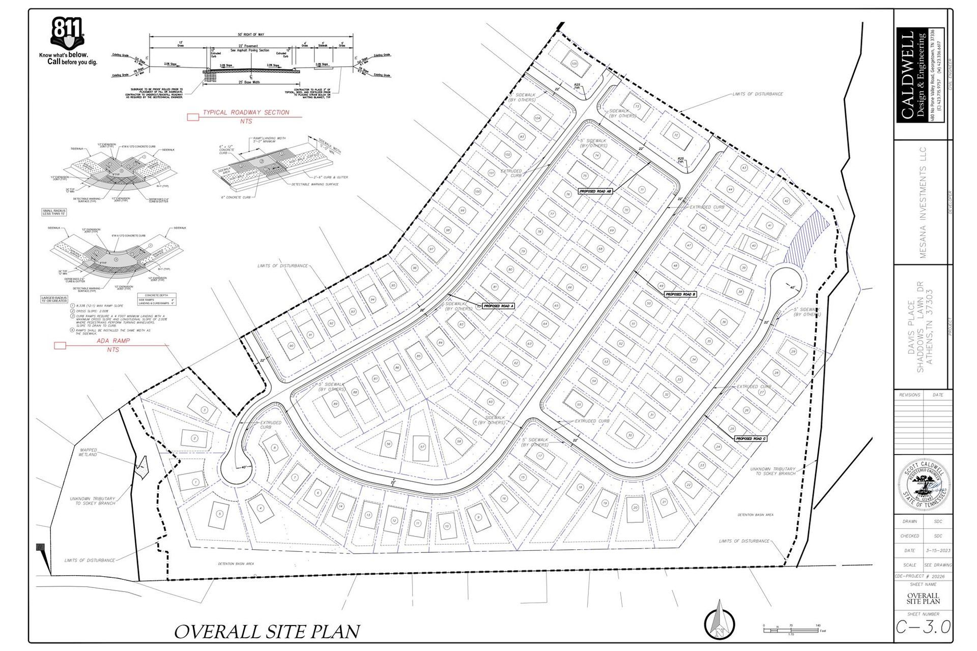Davis Place C-3.0 - Example of Subdivision layout