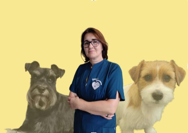 Leticia Julián con perros de pelo duro - Formación en Good Groomers