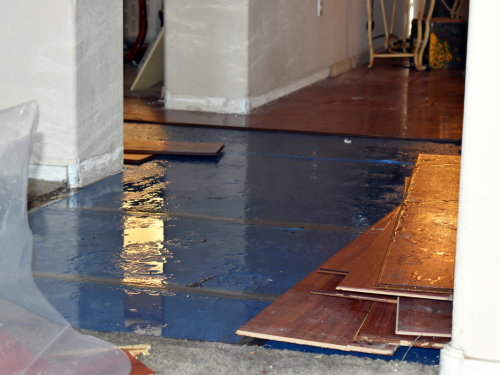 Water Damage Restoration & Mold Mitigation performed by a plumber in Piscataway, NJ