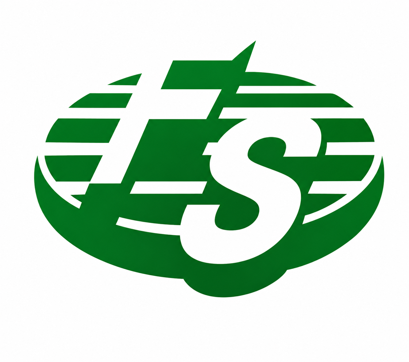 Finance Service of Thibodaux Logo