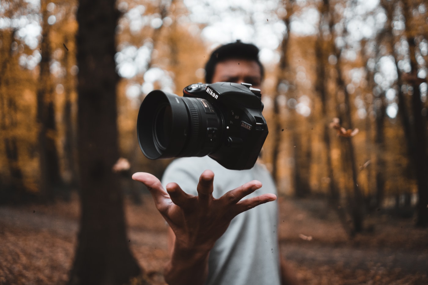 Motion graphics and animation overlay for video