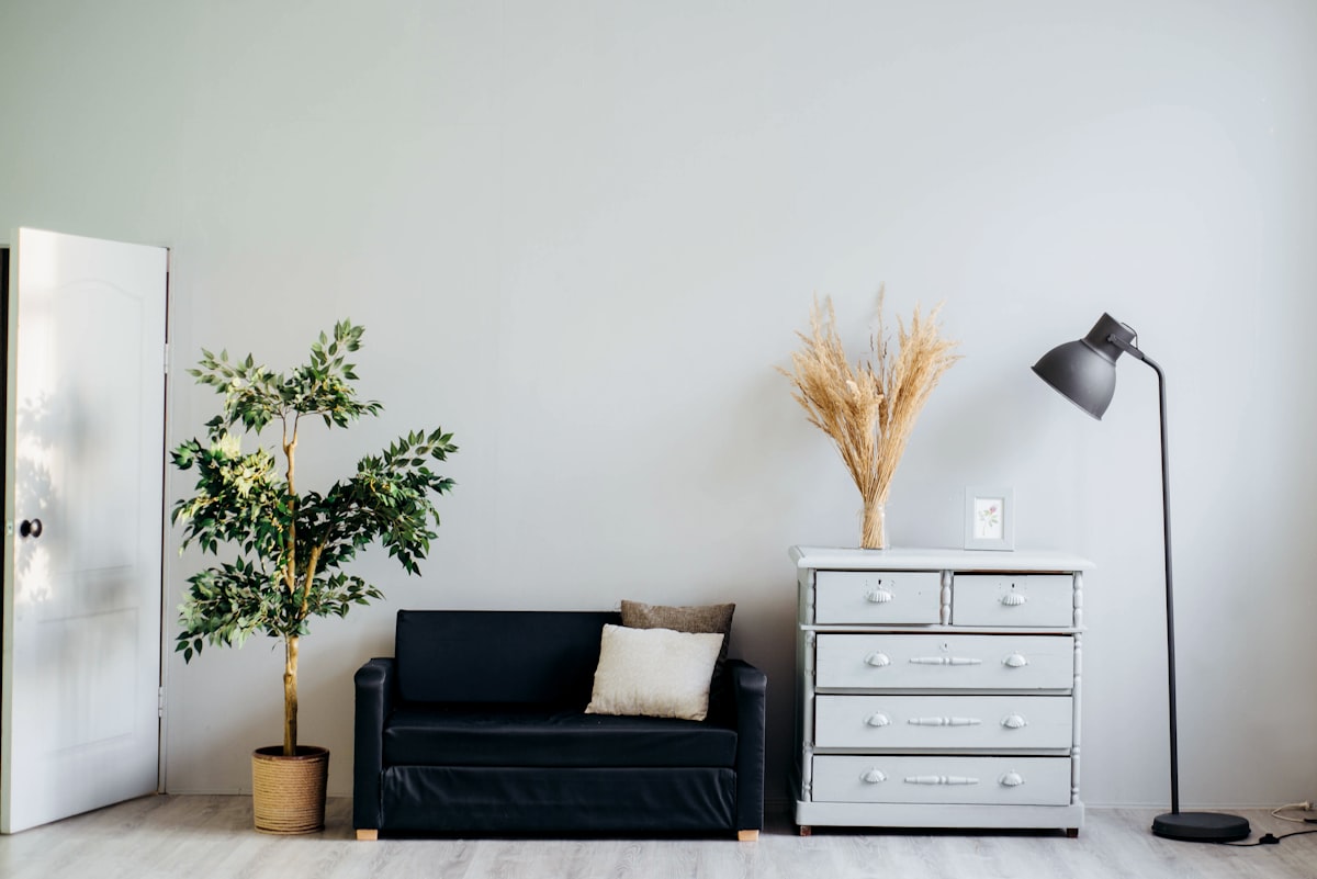 Mold Damage Claims