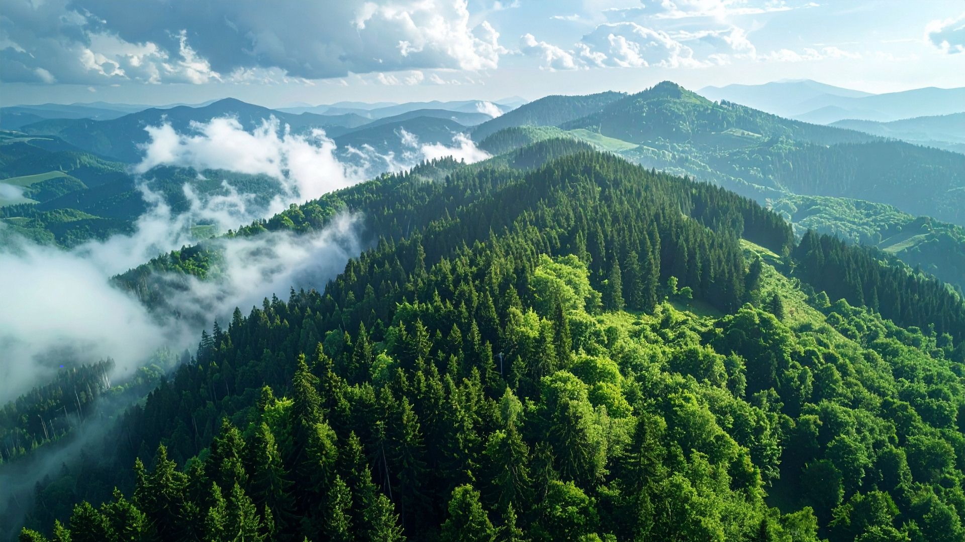 Mountain ridge background
