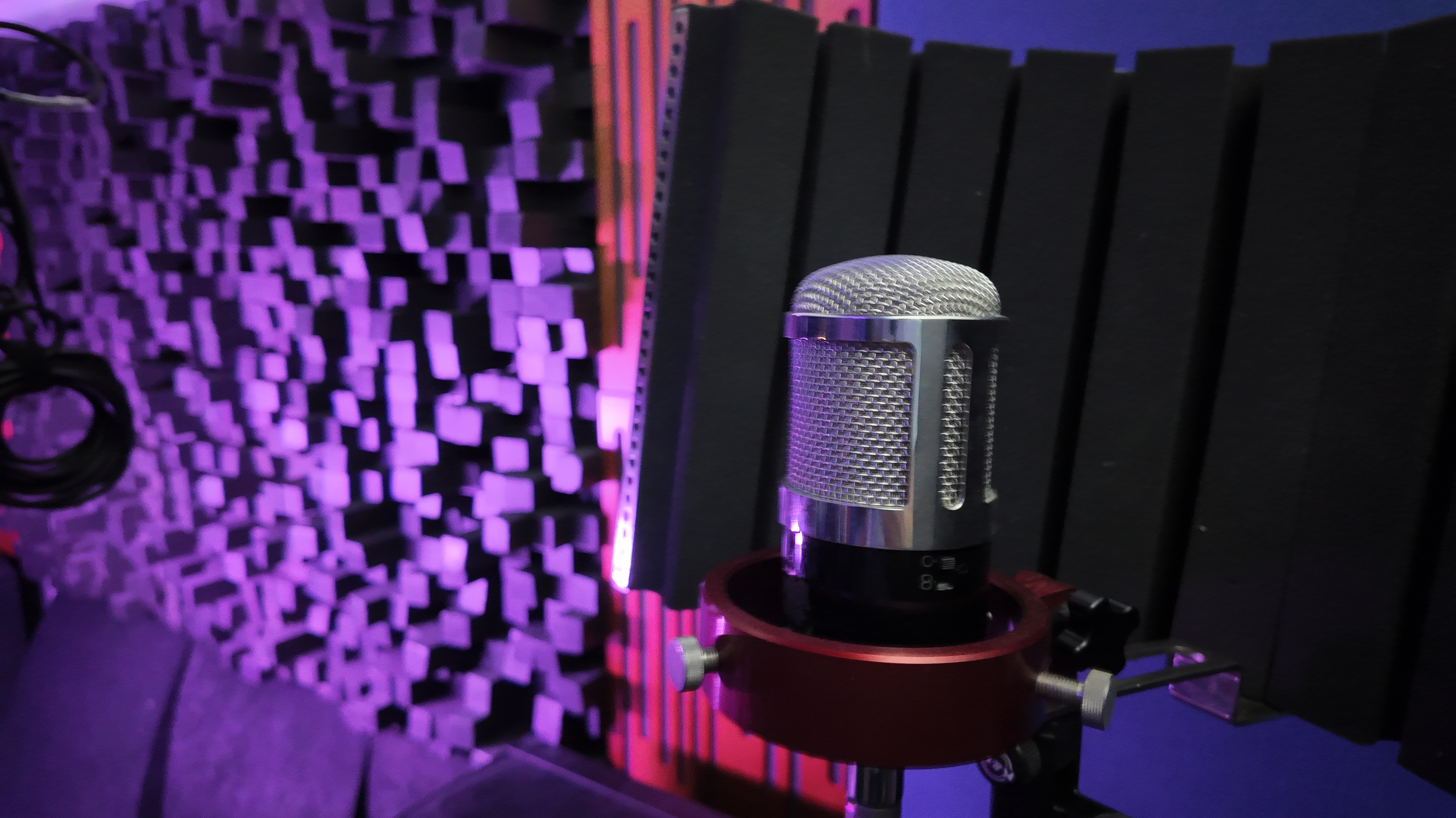 Vocal recording setup in acoustically treated booth