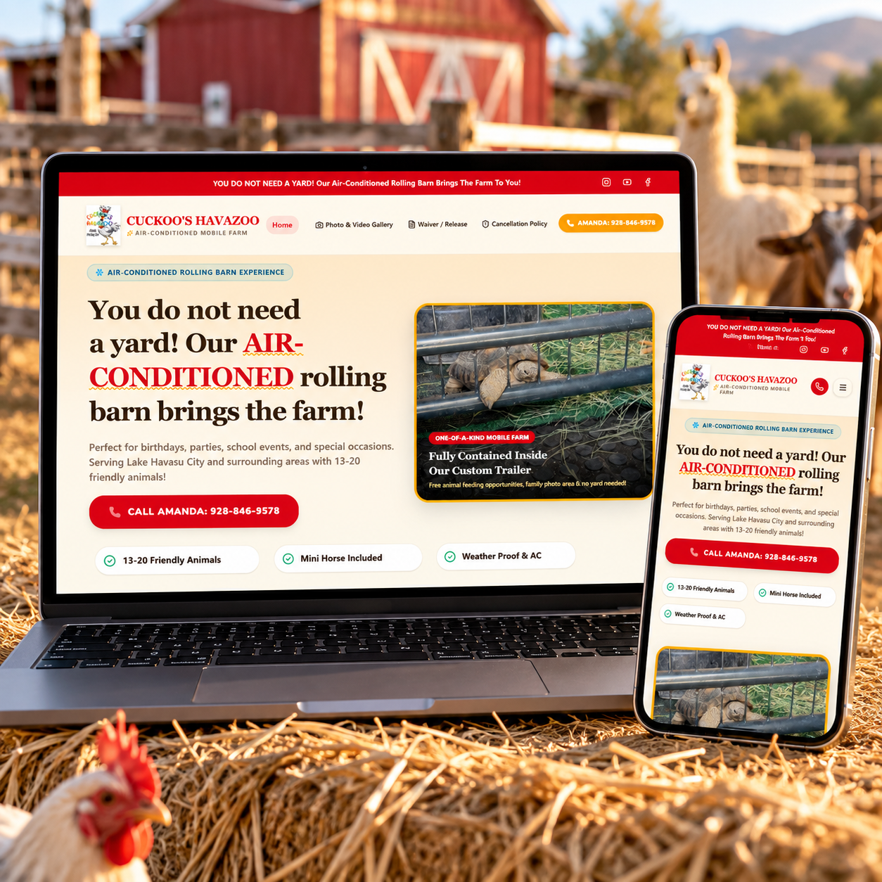 Cuckoo's Havazoo Website Design