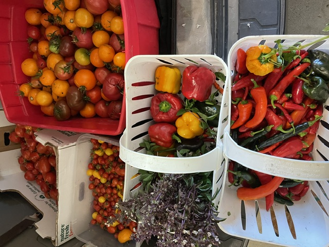 Fresh produce including tomatoes, peppers, and vegetables from the We Care We Share Ministries food pantry