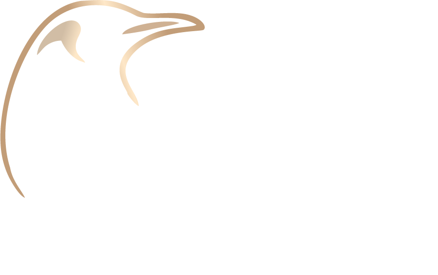 EDG — Entrepreneurial Development Group